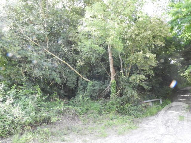 terrain à vendre - 2910.0 m2 - DAMMARTIN EN GOELE - 77 - ILE-DE-FRANCE - Century 21 Gp Immobilier