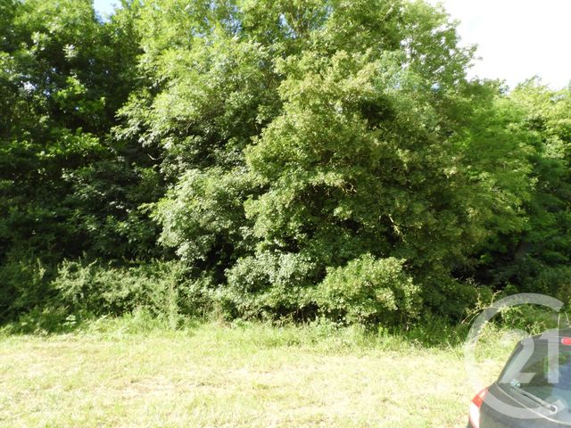 Terrain à vendre DAMMARTIN EN GOELE