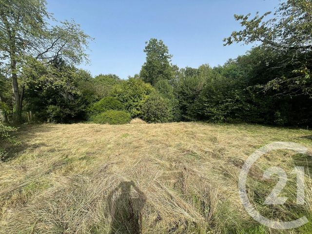 terrain - DAMMARTIN EN GOELE - 77