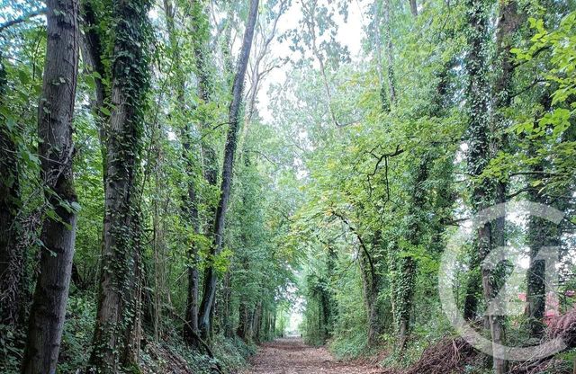 maison à vendre - 4 pièces - 50.0 m2 - MONTGE EN GOELE - 77 - ILE-DE-FRANCE - Century 21 Gp Immobilier